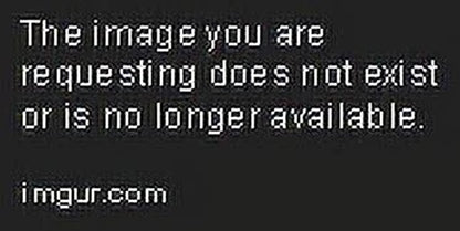 Weight Lifting Belt with Double Back Support Gym Training Purple XL